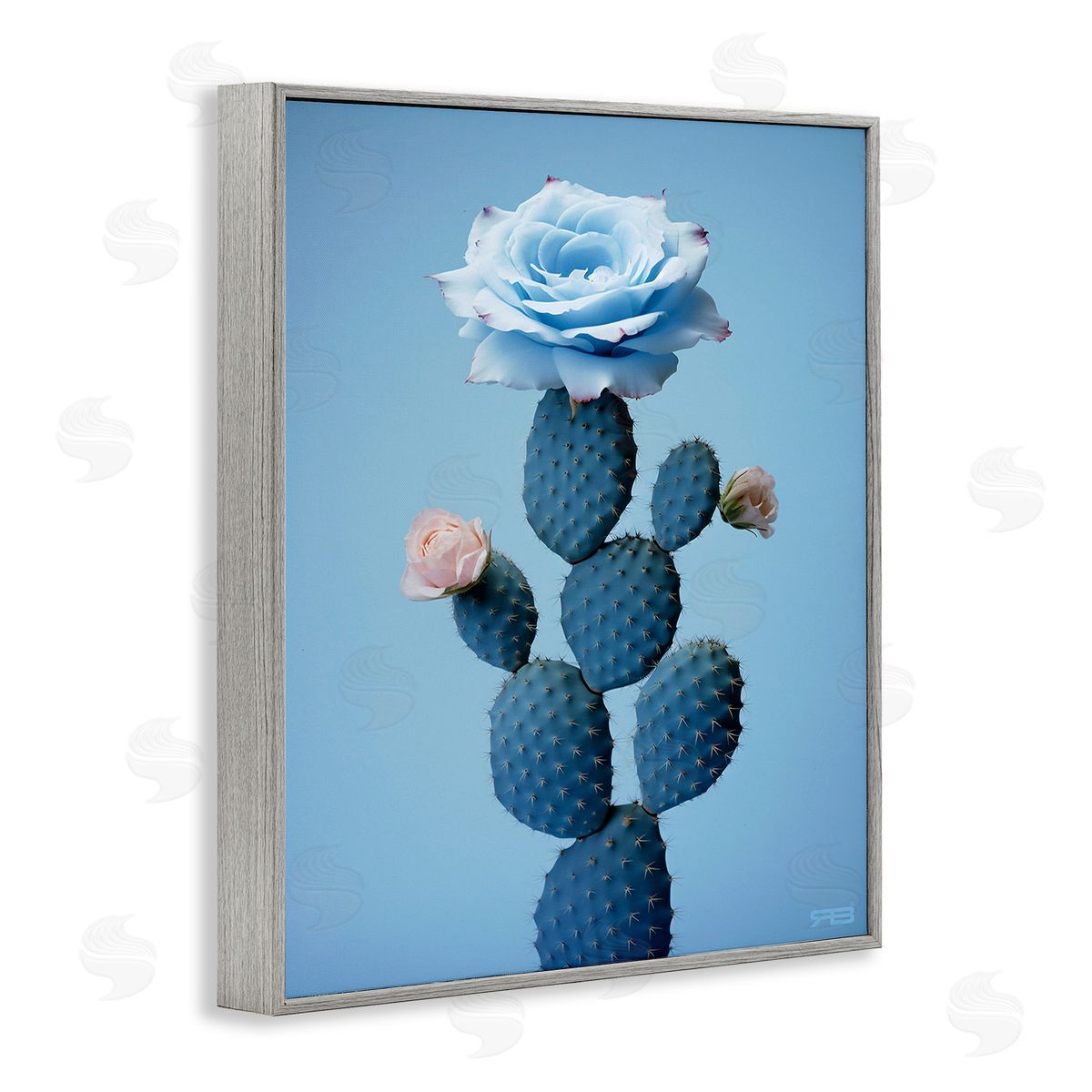 RB Blue Rose & Cactus Gray Framed Giclee Wall Art Print