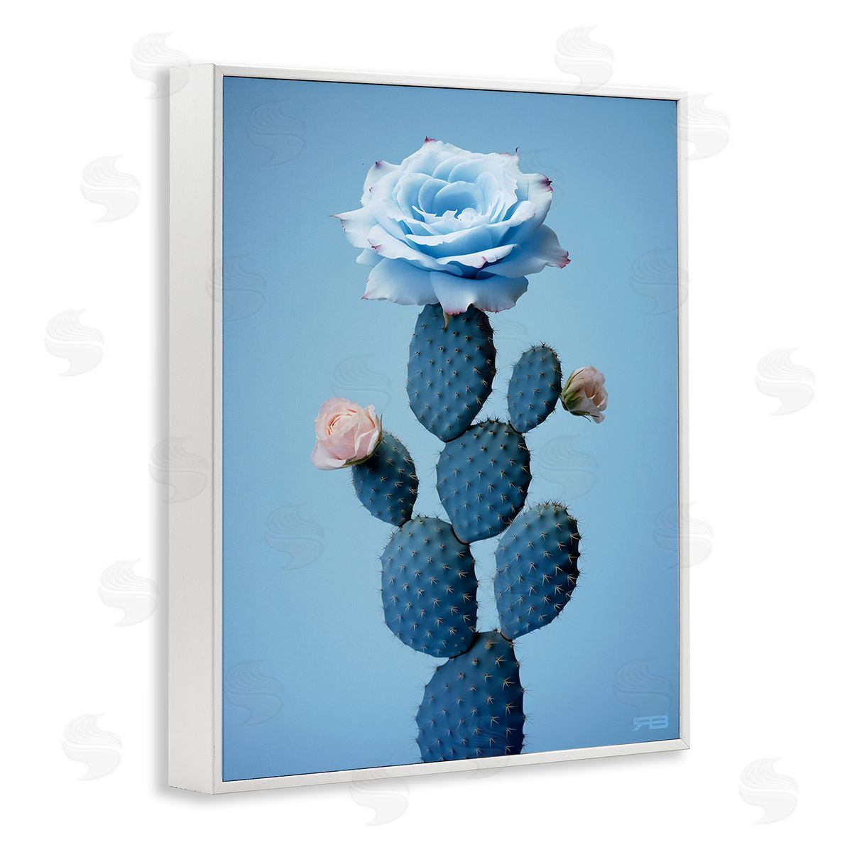 RB Blue Rose & Cactus White Framed Giclee Wall Art Print