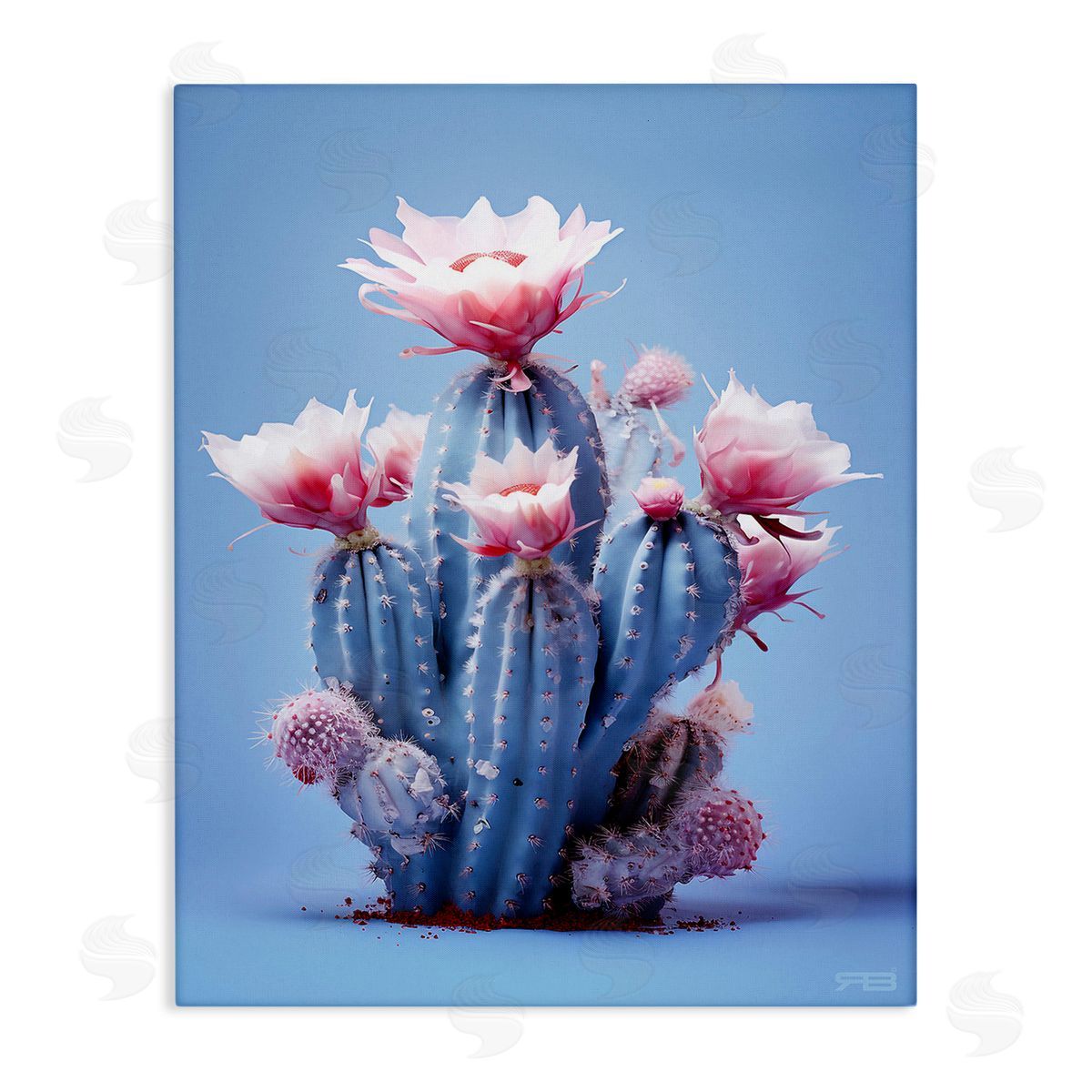 RB Pink & Blue Cactus Flowers Canvas Wall Art Print