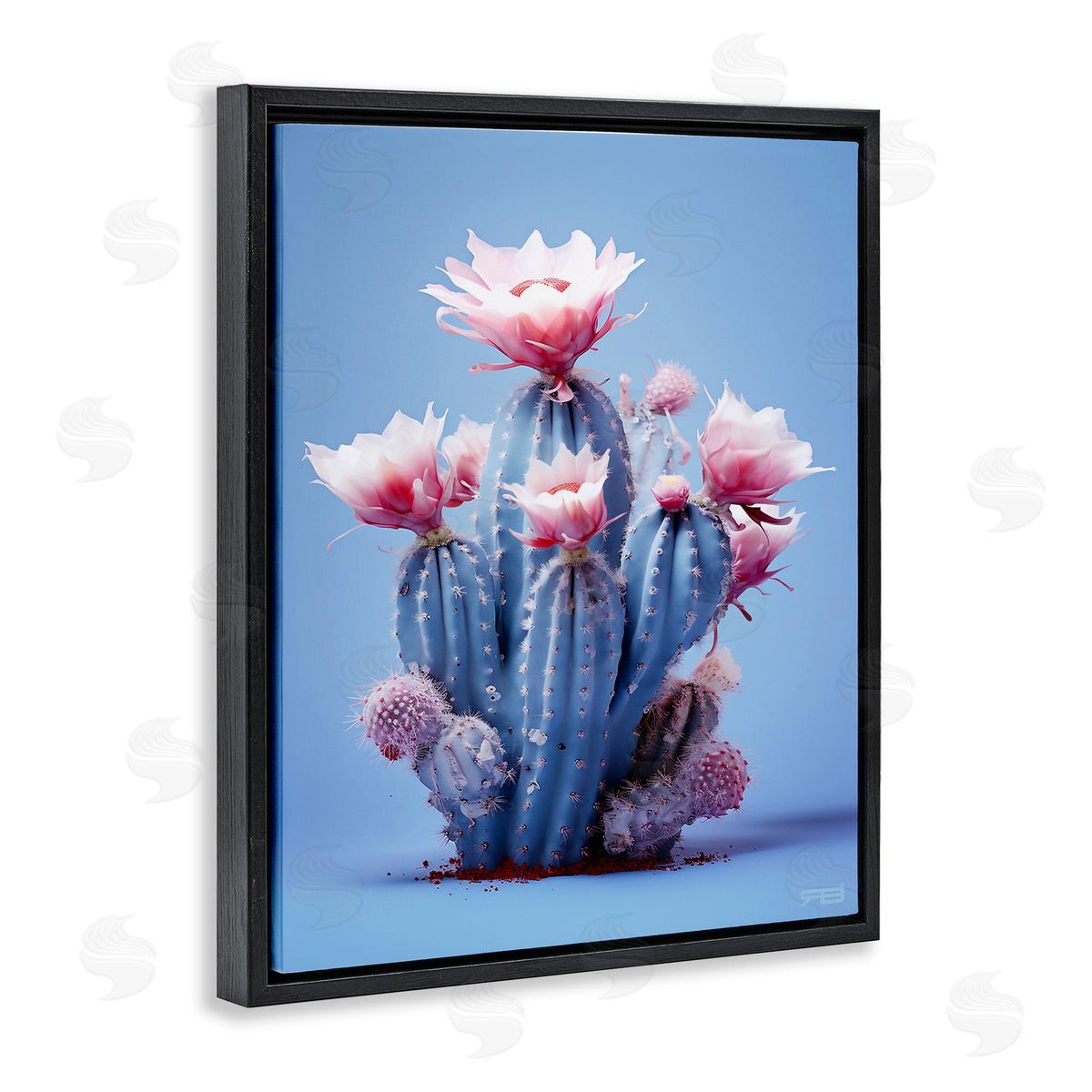 RB Pink & Blue Cactus Flowers Black Floating Frame Canvas Wall Art Print
