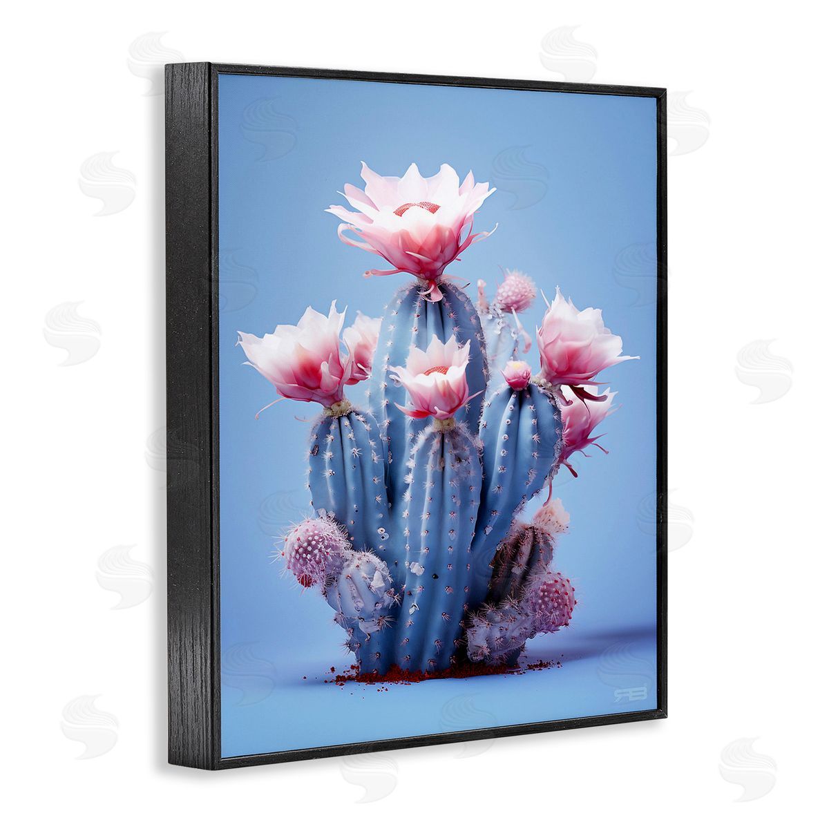 RB Pink & Blue Cactus Flowers Black Framed Giclee Wall Art Print