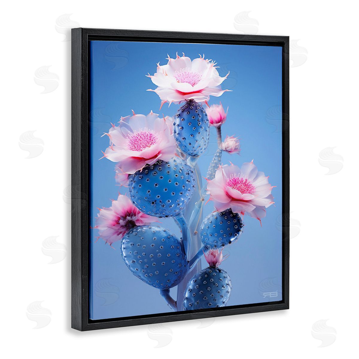 RB Prickly Cactus Flowers Black Floating Frame Canvas Wall Art Print