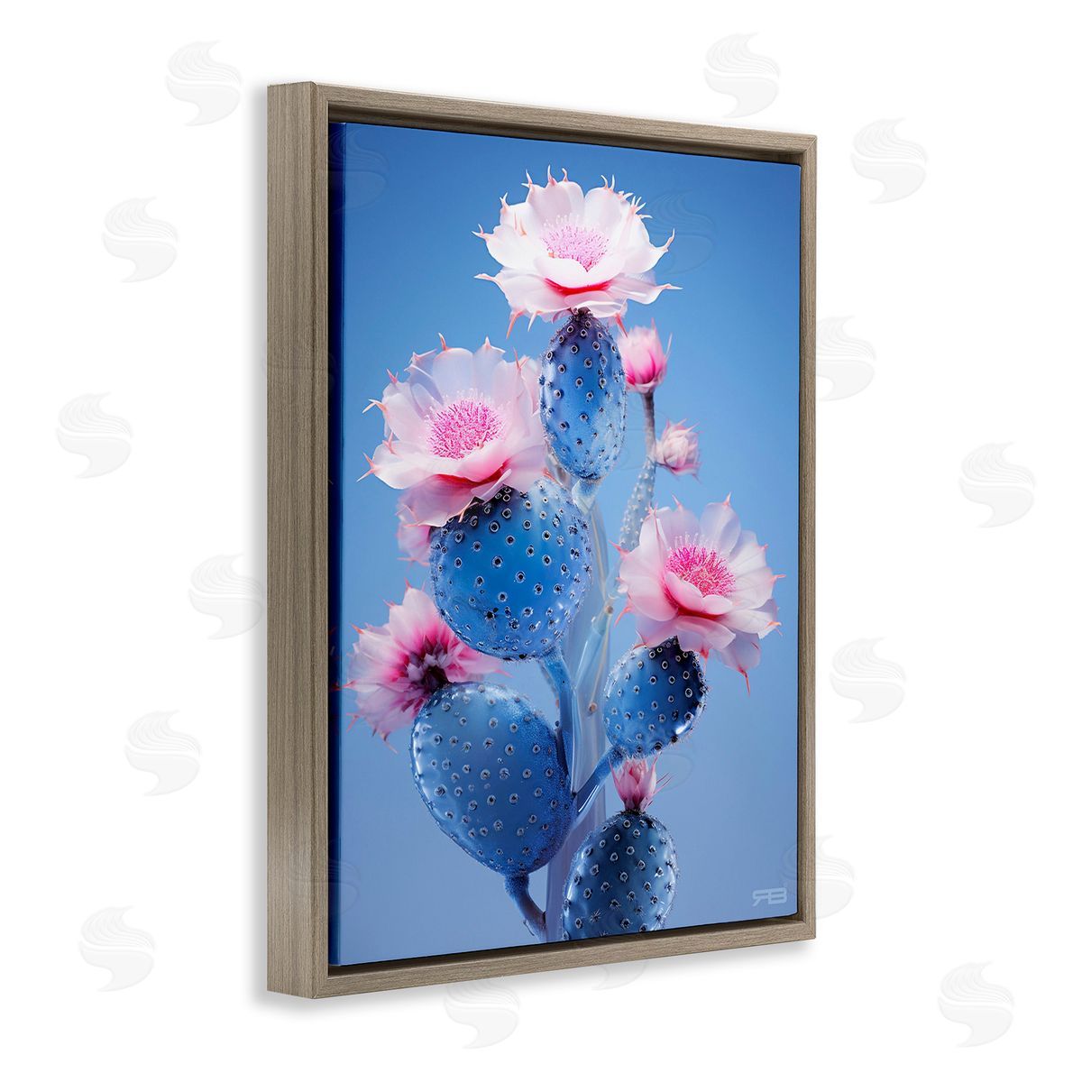 RB Prickly Cactus Flowers Brown Floating Frame Canvas Wall Art Print