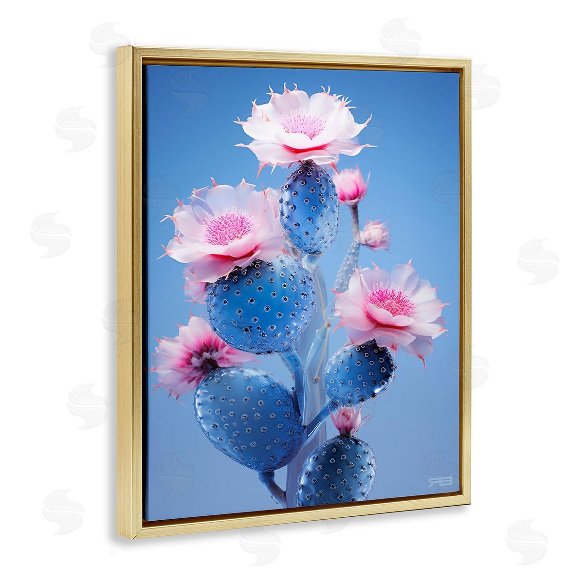 RB Prickly Cactus Flowers Gold Floating Frame Canvas Wall Art Print