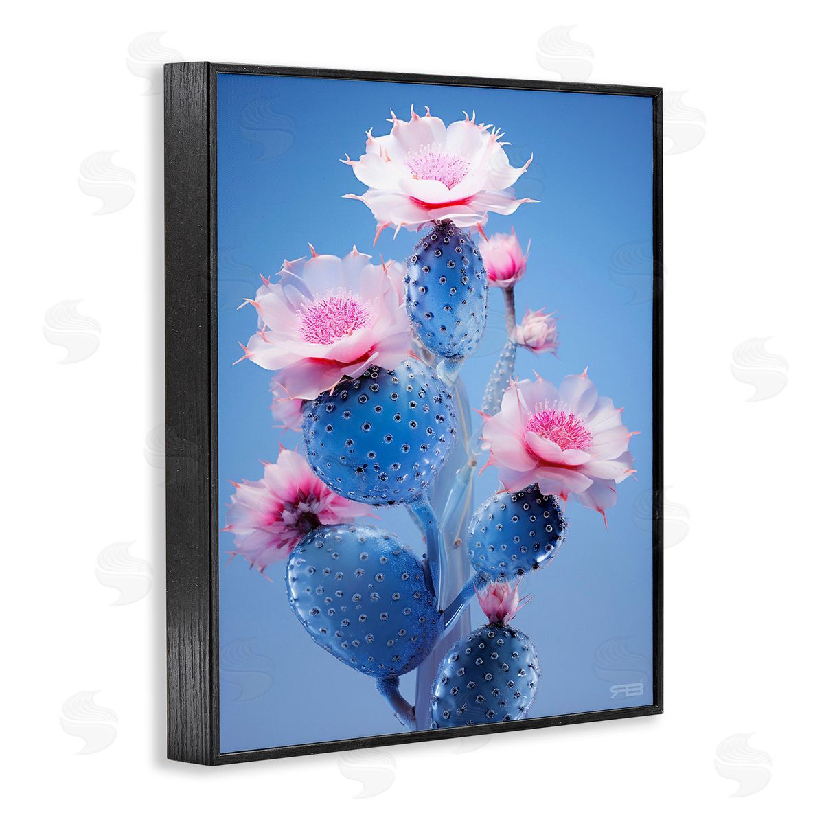 RB Prickly Cactus Flowers Black Framed Giclee Wall Art Print