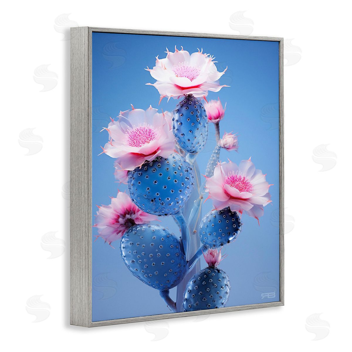 RB Prickly Cactus Flowers Gray Framed Giclee Wall Art Print