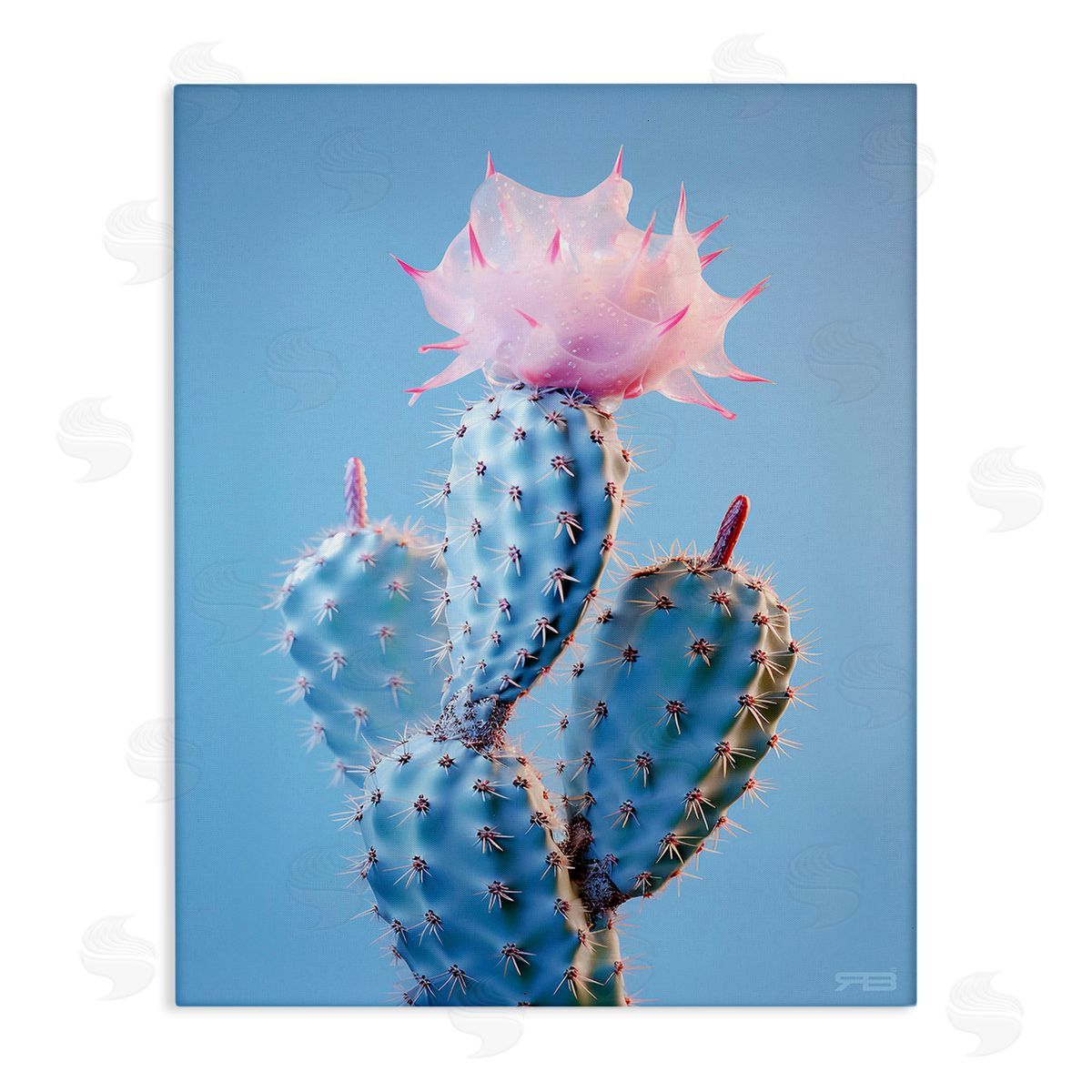 RB Pink Budding Cactus Flowers Canvas Wall Art Print