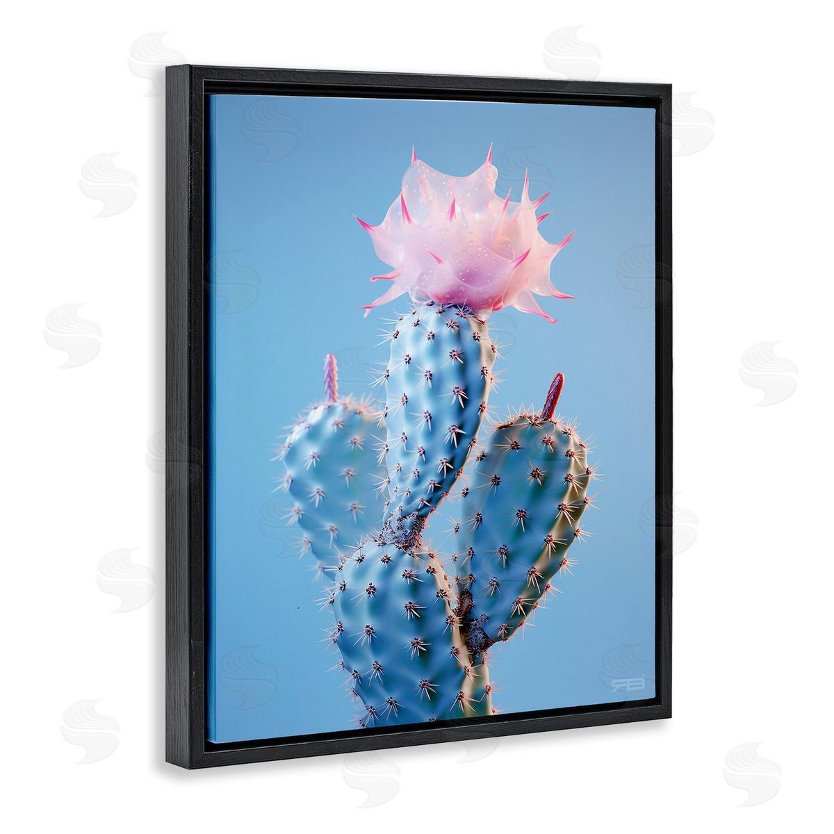RB Pink Budding Cactus Flowers Black Floating Frame Canvas Wall Art Print
