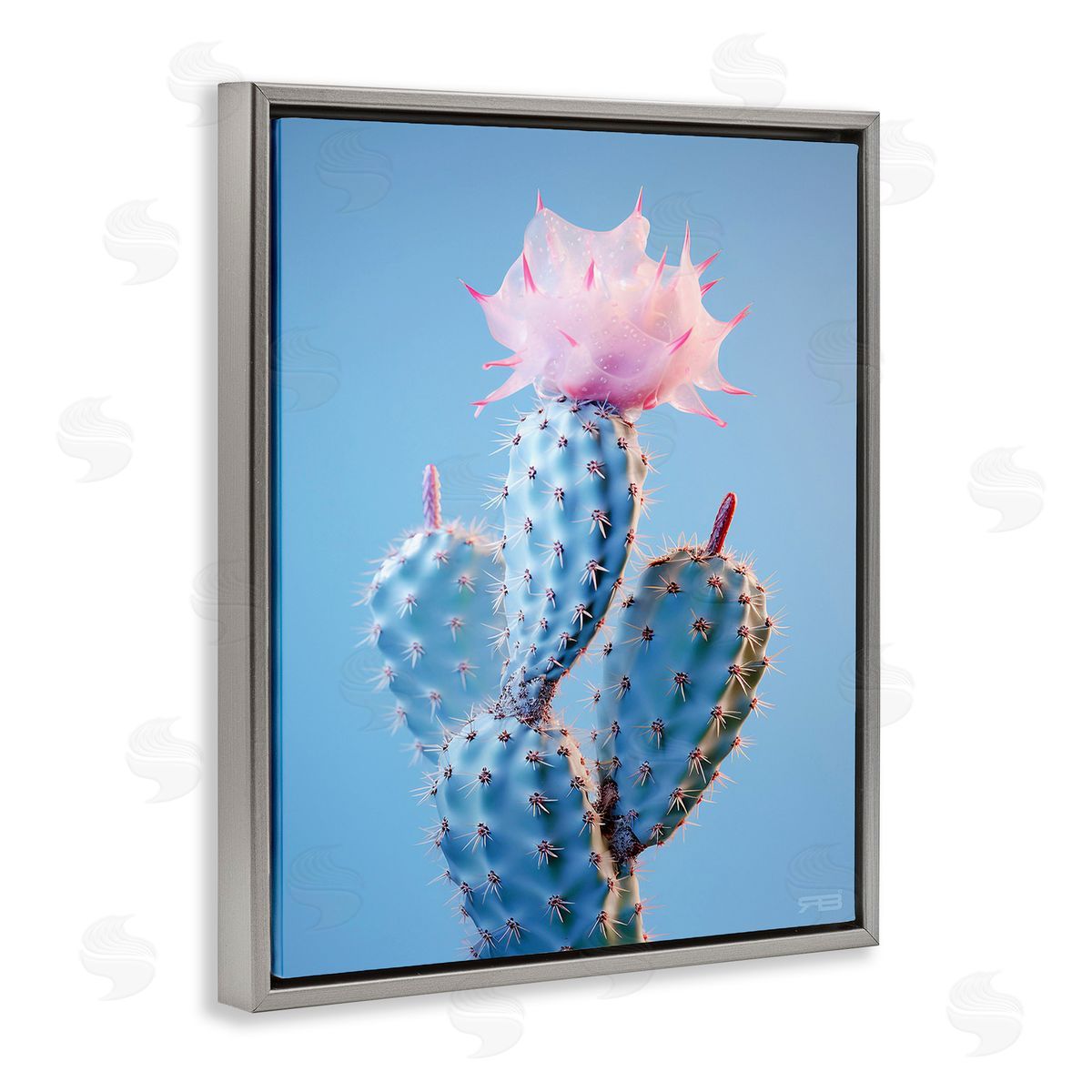 RB Pink Budding Cactus Flowers Gray Floating Frame Canvas Wall Art Print
