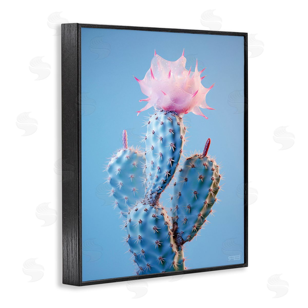 RB Pink Budding Cactus Flowers Black Framed Giclee Wall Art Print