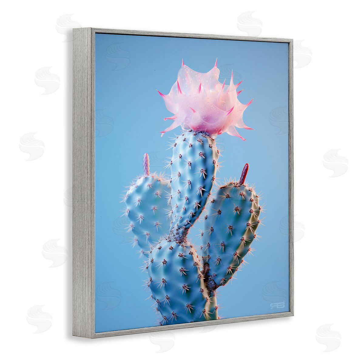 RB Pink Budding Cactus Flowers Gray Framed Giclee Wall Art Print