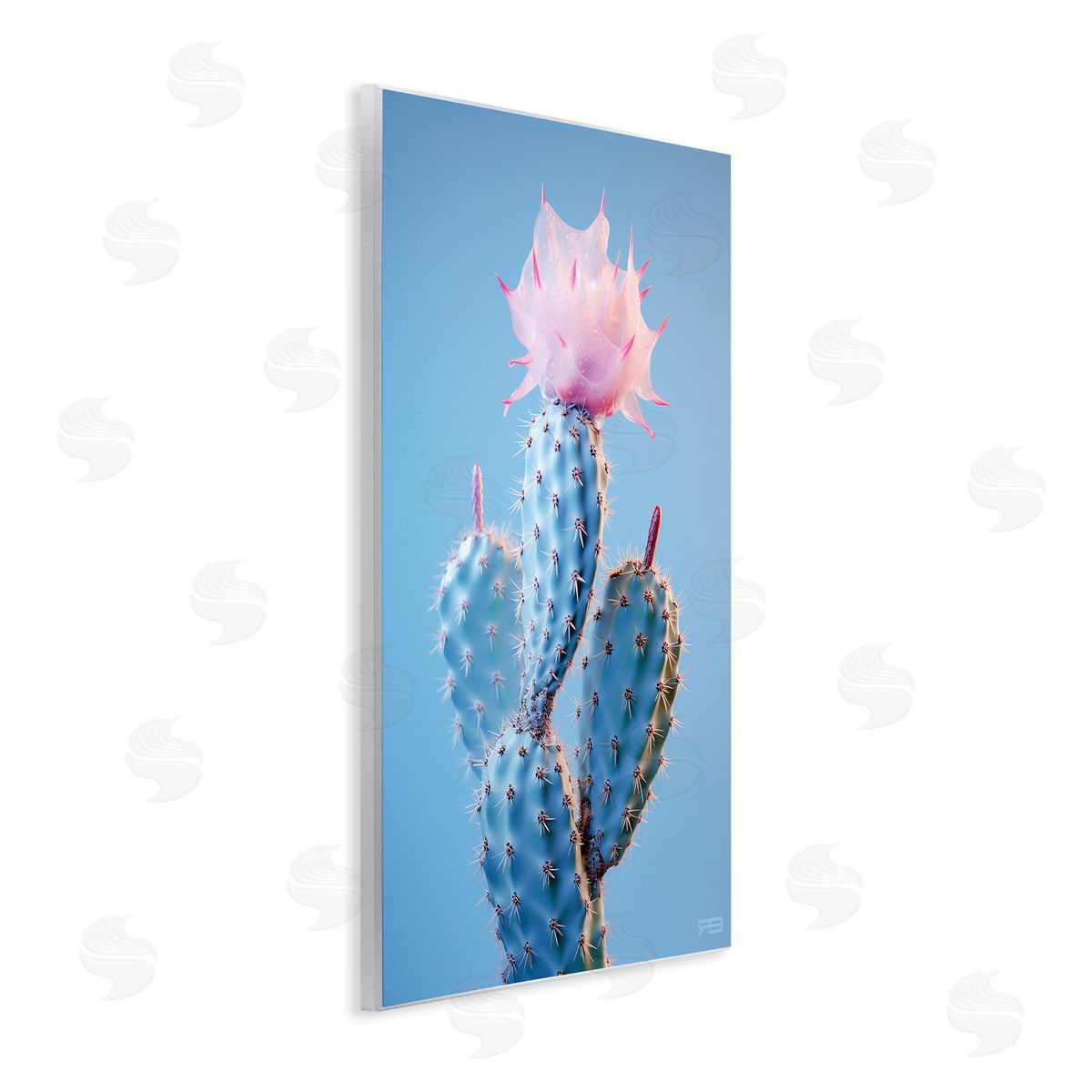 RB Pink Budding Cactus Flowers Wooden Wall Plaque Art Print