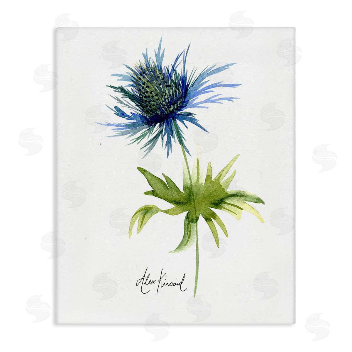 Alexandria Gilbert Kincaid Minimal Thistle Flower Canvas Wall Art Print