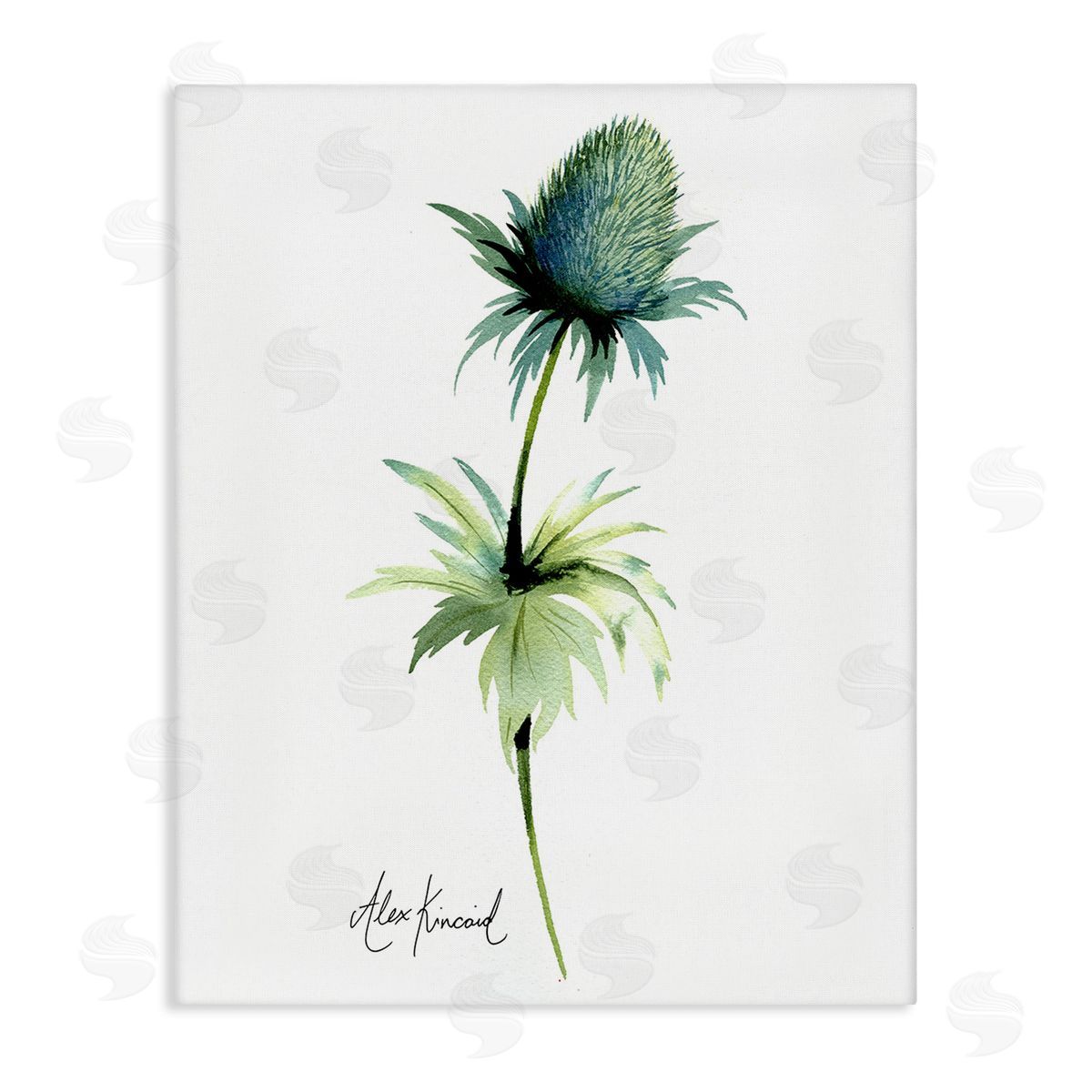 Alexandria Gilbert Kincaid Simple Thistle Plant Canvas Wall Art Print