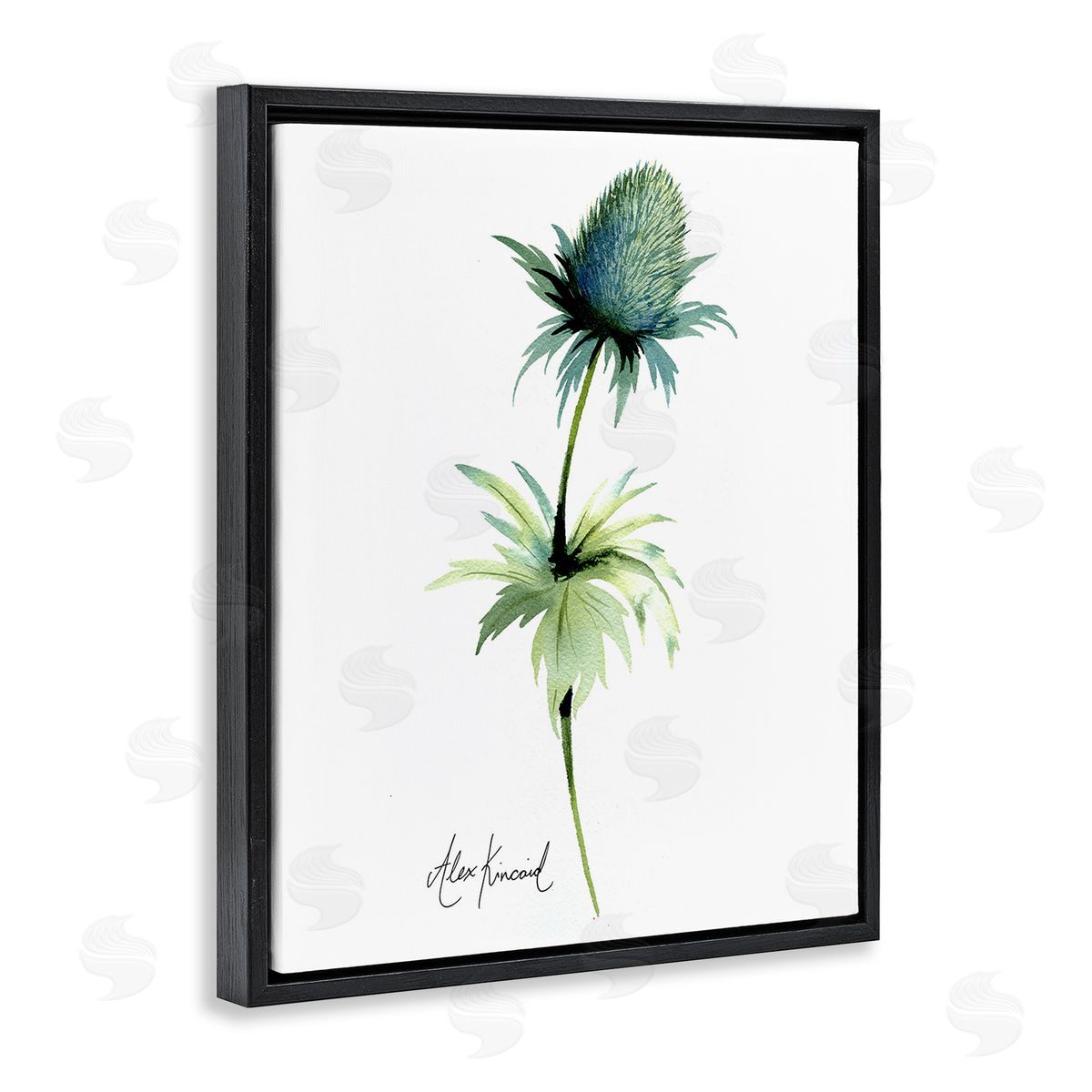 Alexandria Gilbert Kincaid Simple Thistle Plant Black Floating Frame Canvas Wall Art Print