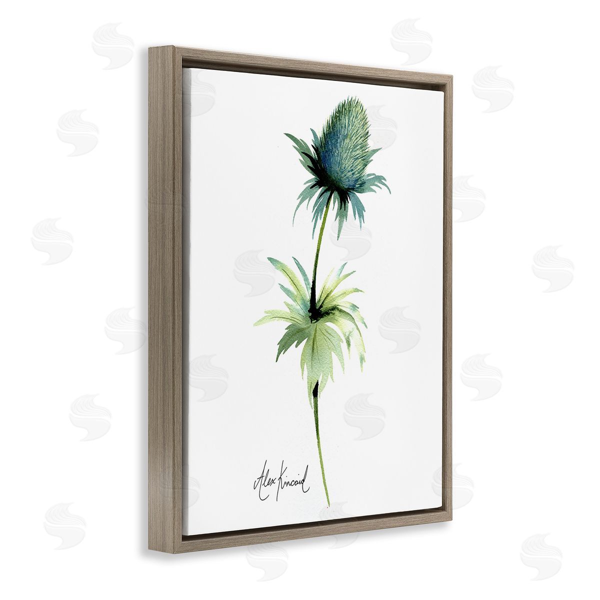 Alexandria Gilbert Kincaid Simple Thistle Plant Brown Floating Frame Canvas Wall Art Print