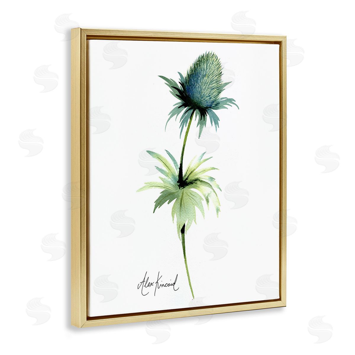 Alexandria Gilbert Kincaid Simple Thistle Plant Gold Floating Frame Canvas Wall Art Print