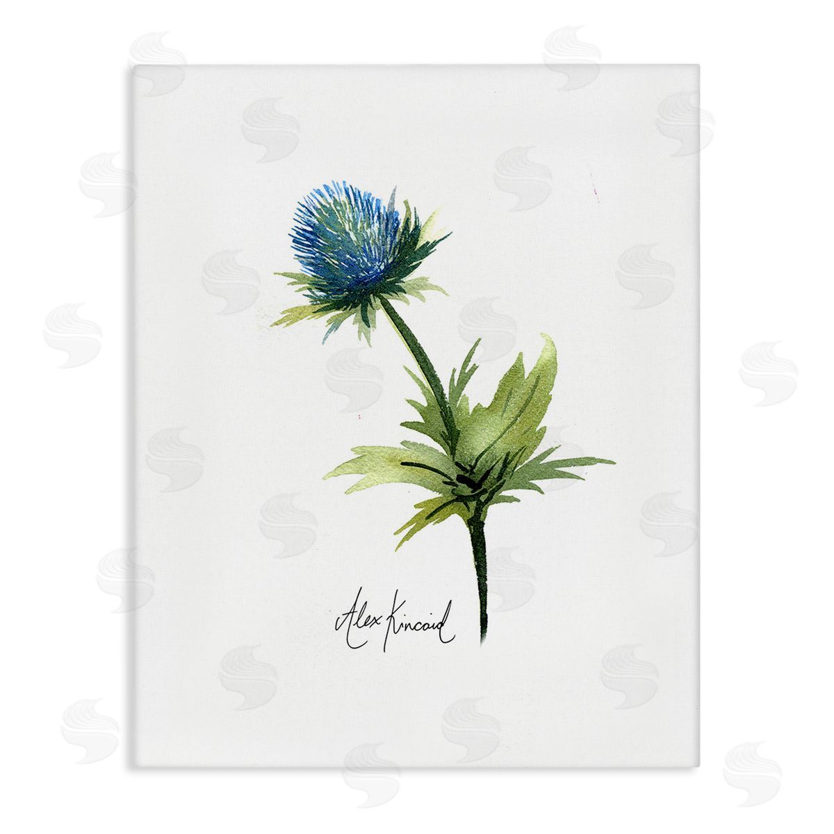 Alexandria Gilbert Kincaid Simple Thistle Watercolor Canvas Wall Art Print