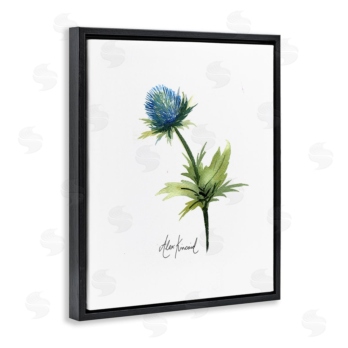 Alexandria Gilbert Kincaid Simple Thistle Watercolor Black Floating Frame Canvas Wall Art Print