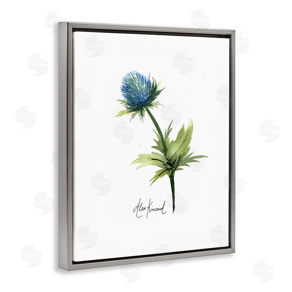 Alexandria Gilbert Kincaid Simple Thistle Watercolor Gray Floating Frame Canvas Wall Art Print