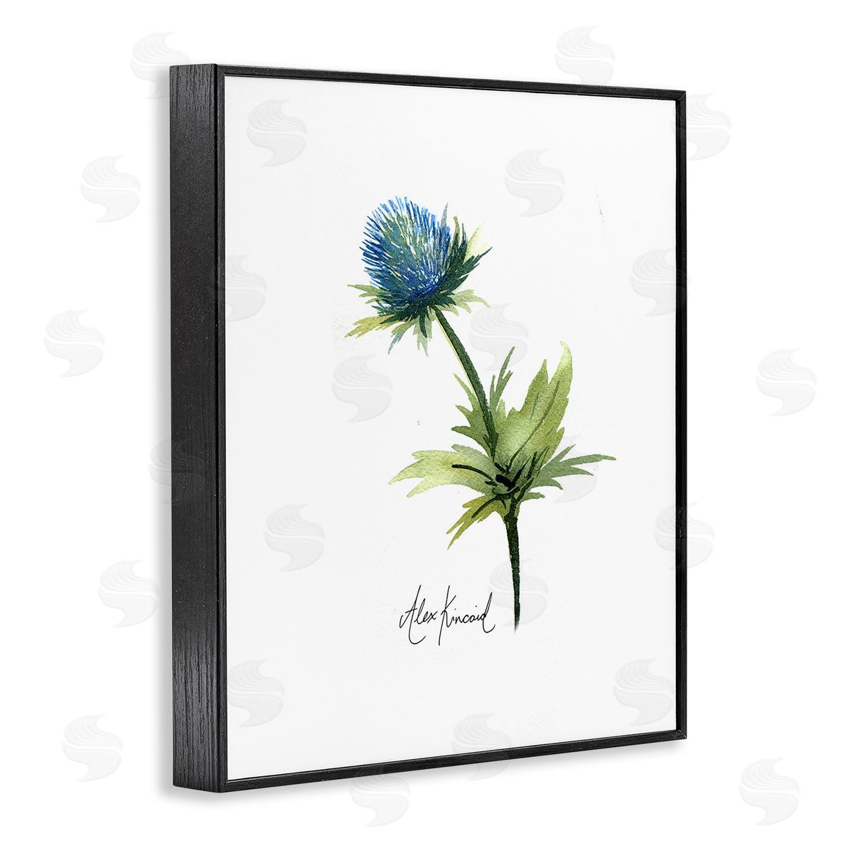 Alexandria Gilbert Kincaid Simple Thistle Watercolor Black Framed Giclee Wall Art Print