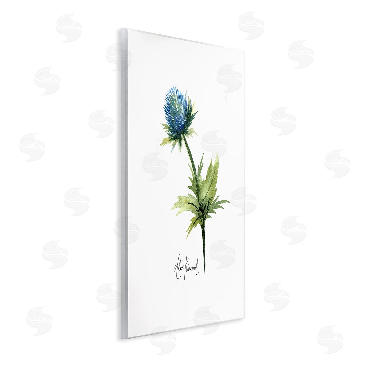 Alexandria Gilbert Kincaid Simple Thistle Watercolor Wooden Wall Plaque Art Print