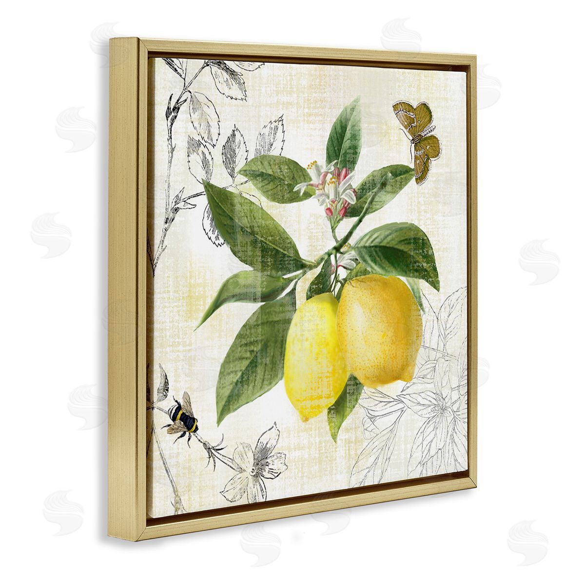 Nan Vintage Lemon Pattern Gold Floating Frame Canvas Wall Art Print
