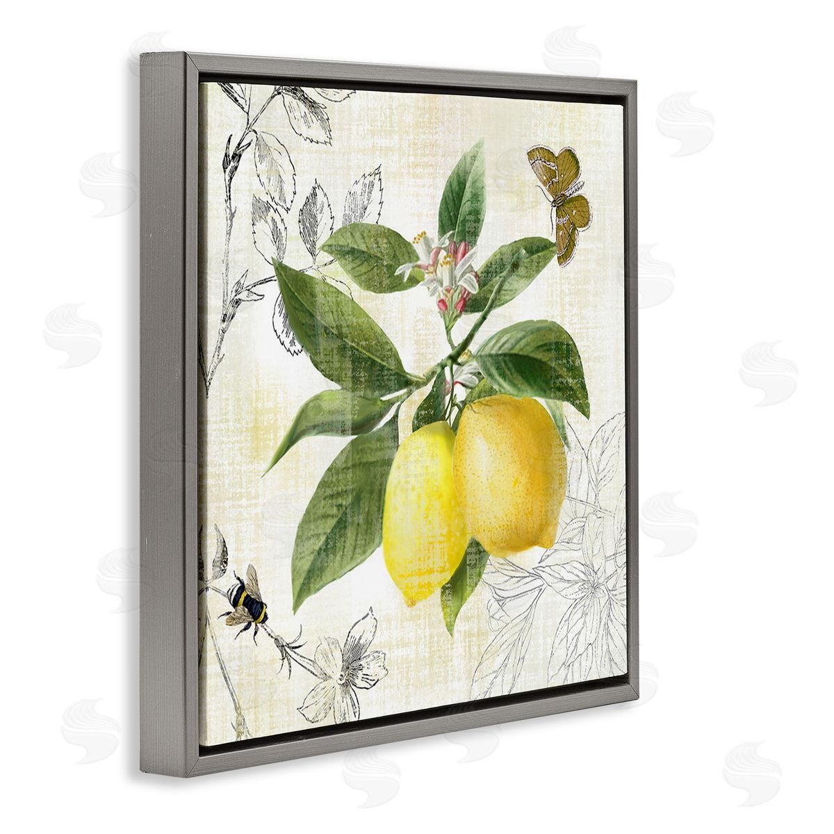 Nan Vintage Lemon Pattern Gray Floating Frame Canvas Wall Art Print