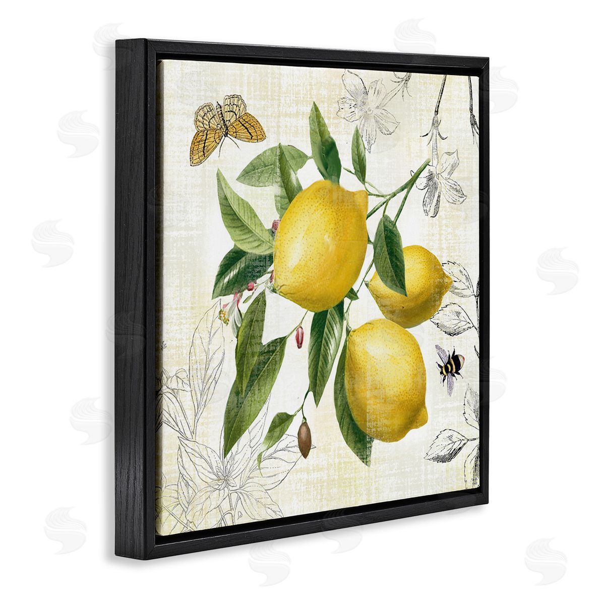 Nan Vintage Lemon Blossoms Black Floating Frame Canvas Wall Art Print
