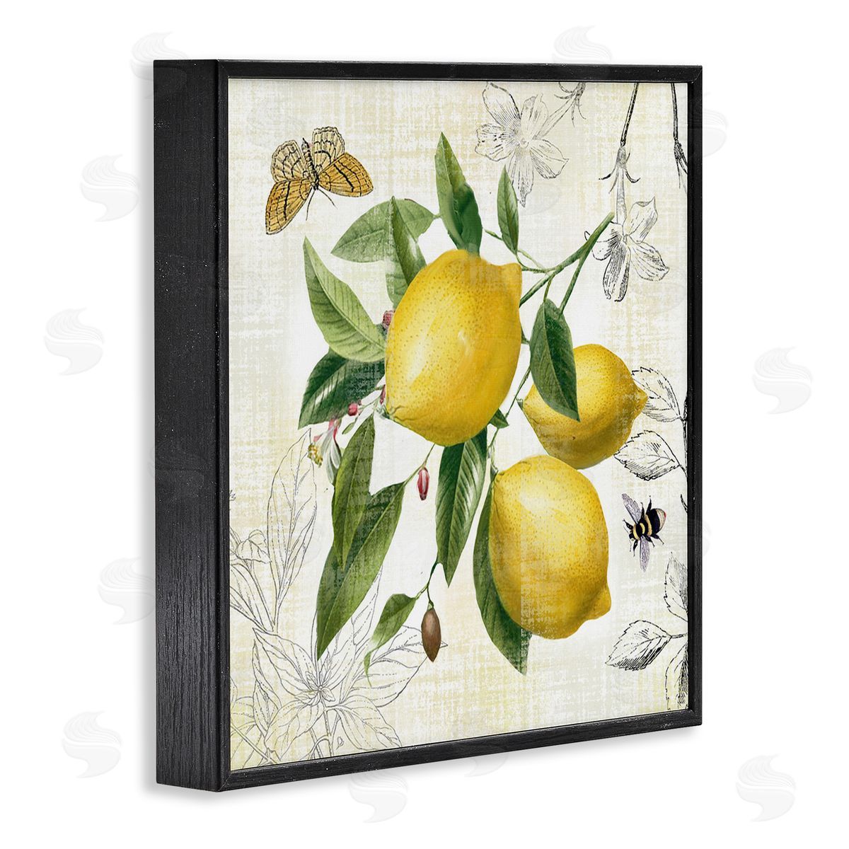 Nan Vintage Lemon Blossoms Black Framed Giclee Wall Art Print
