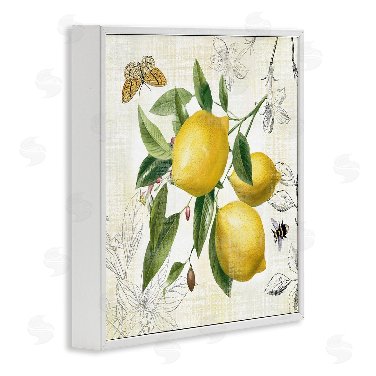 Nan Vintage Lemon Blossoms White Framed Giclee Wall Art Print