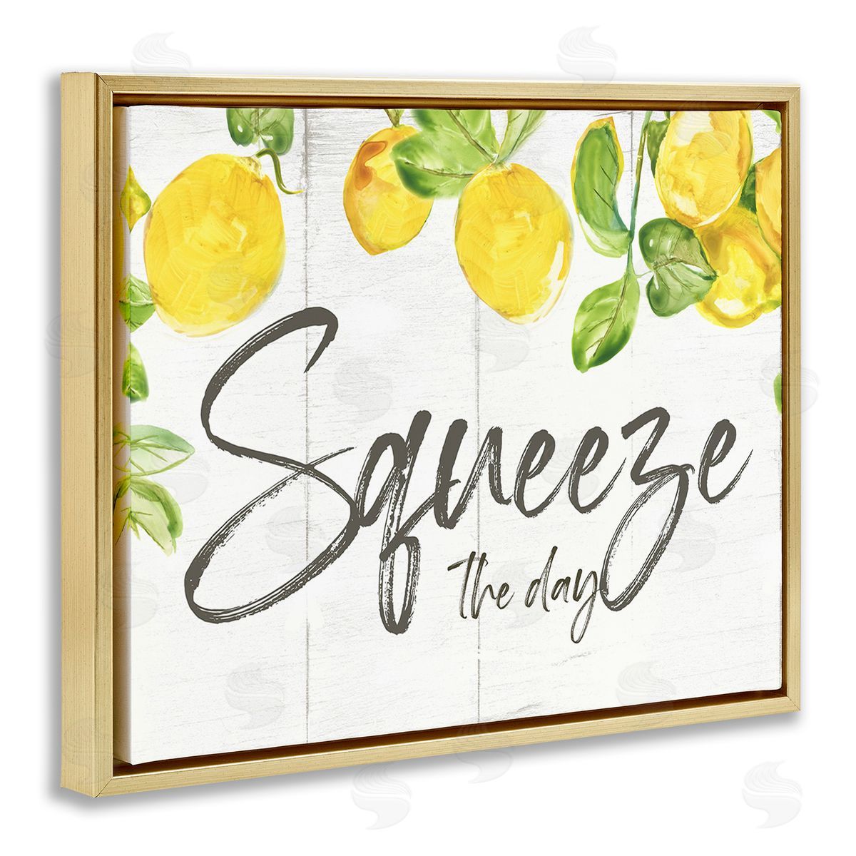 Nan Squeeze The Day Rustic Gold Floating Frame Canvas Wall Art Print