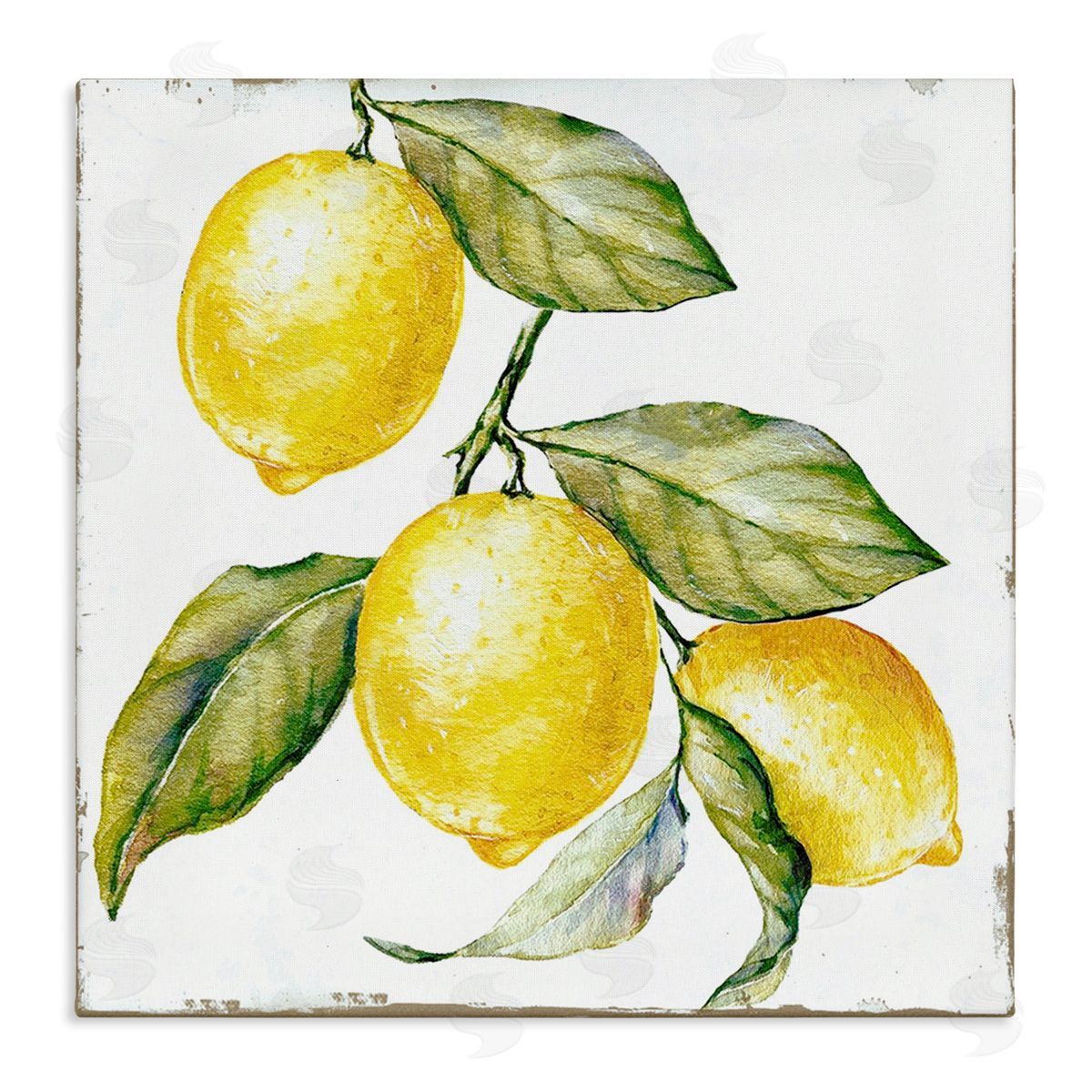 Graffitee Studios Rustic Citrus Fruits Canvas Wall Art Print