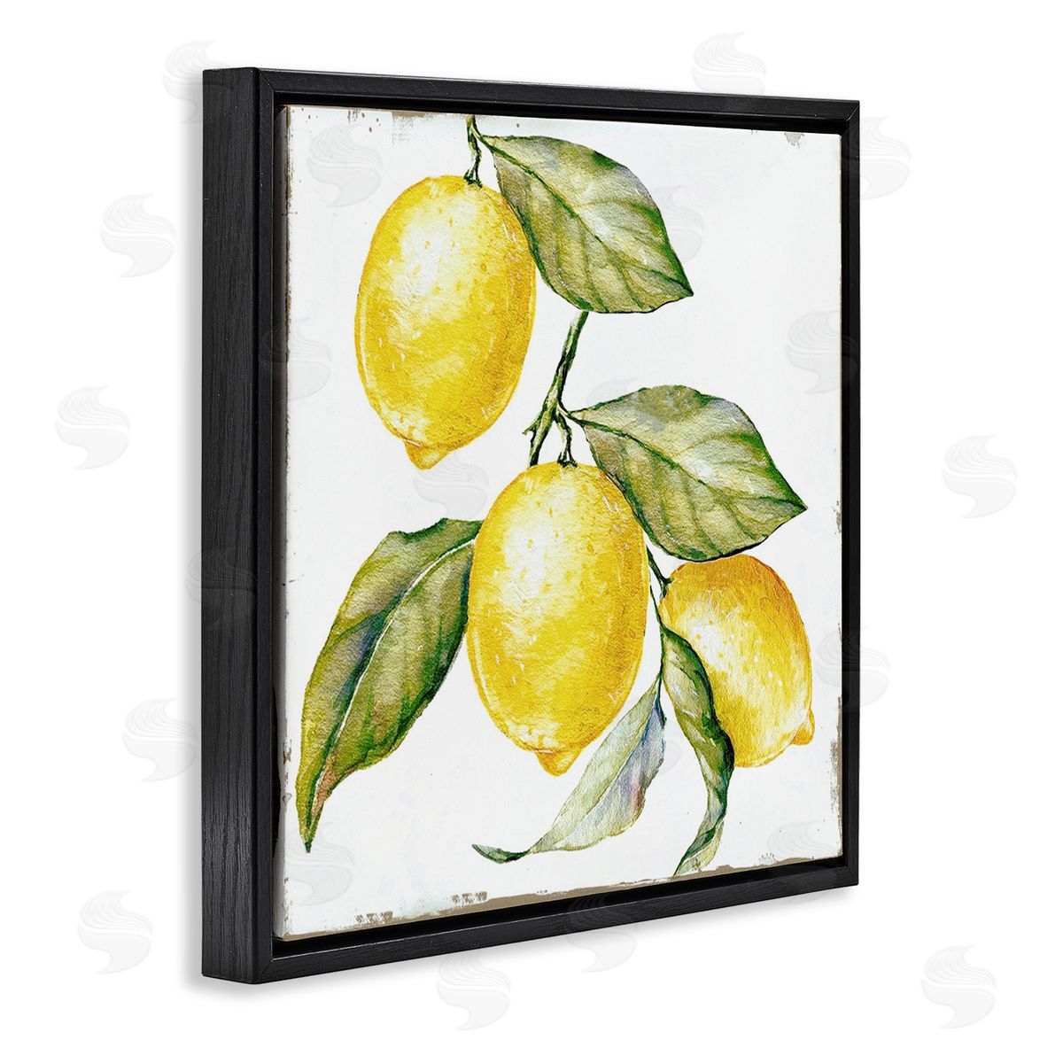 Graffitee Studios Rustic Citrus Fruits Black Floating Frame Canvas Wall Art Print