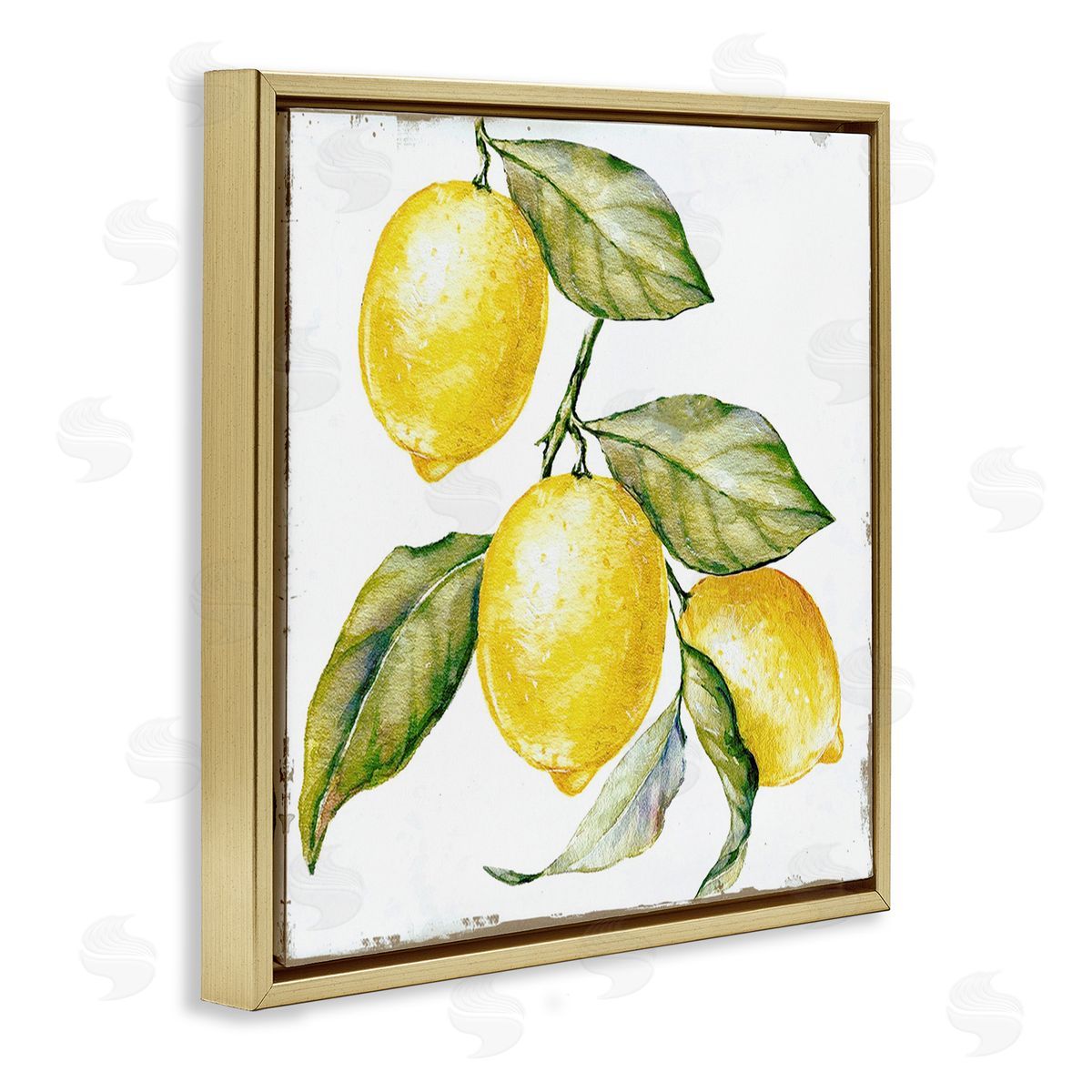 Graffitee Studios Rustic Citrus Fruits Gold Floating Frame Canvas Wall Art Print