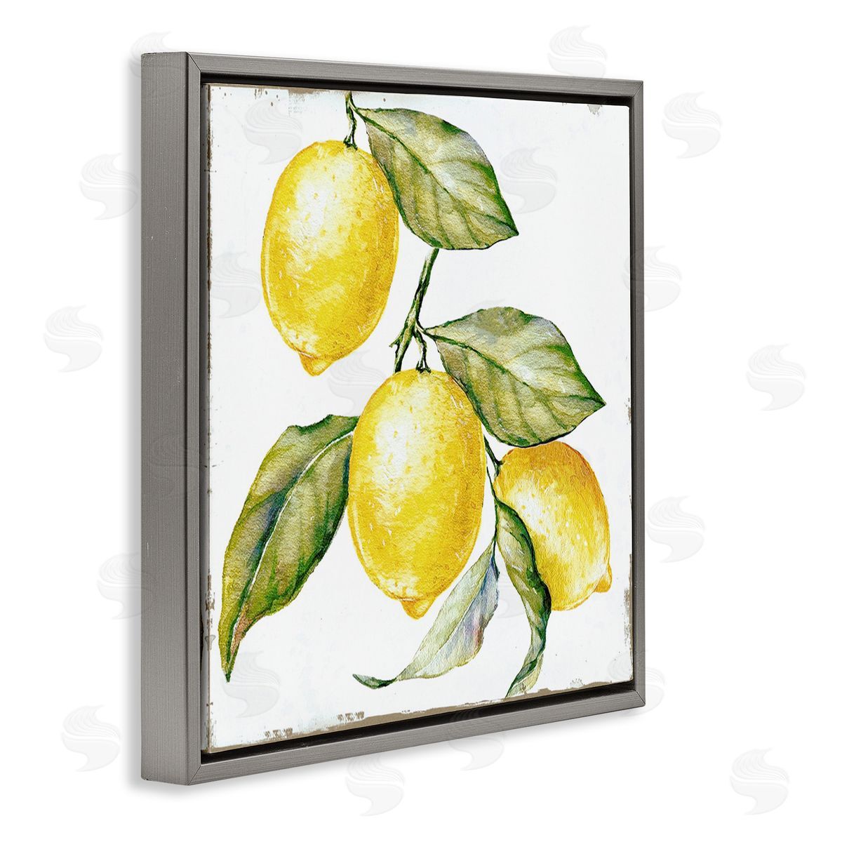 Graffitee Studios Rustic Citrus Fruits Gray Floating Frame Canvas Wall Art Print