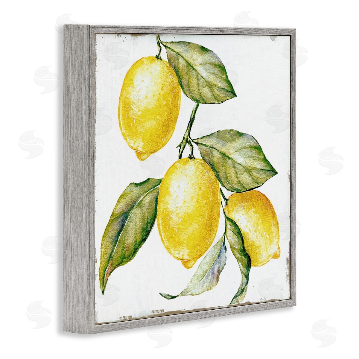 Graffitee Studios Rustic Citrus Fruits Gray Framed Giclee Wall Art Print