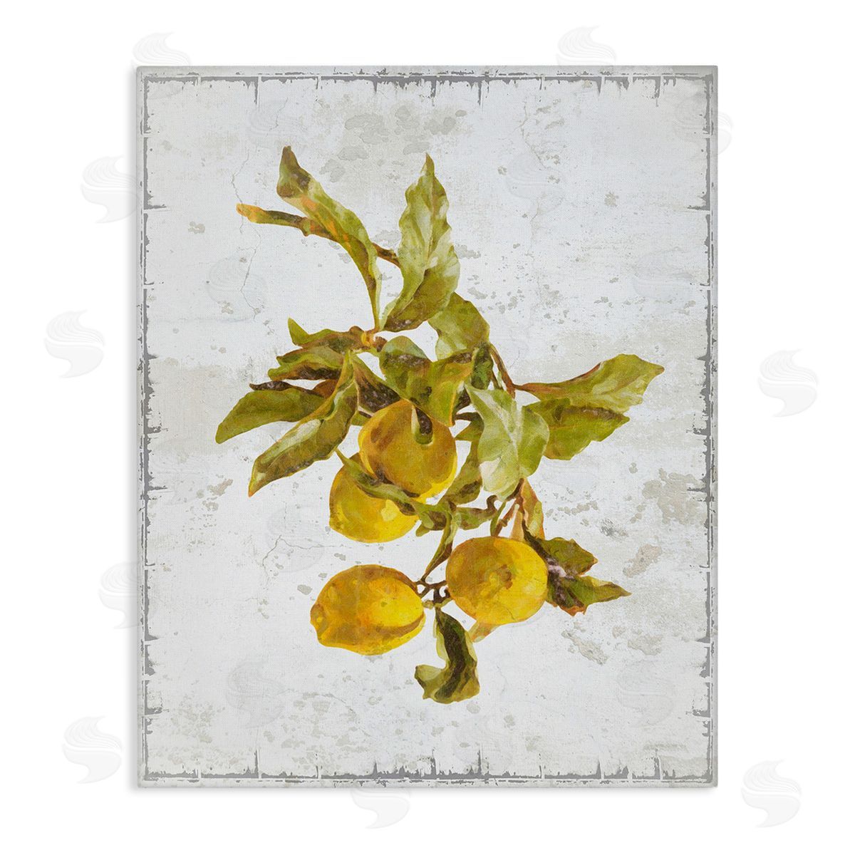 Graffitee Studios Natural Lemon Branch Canvas Wall Art Print