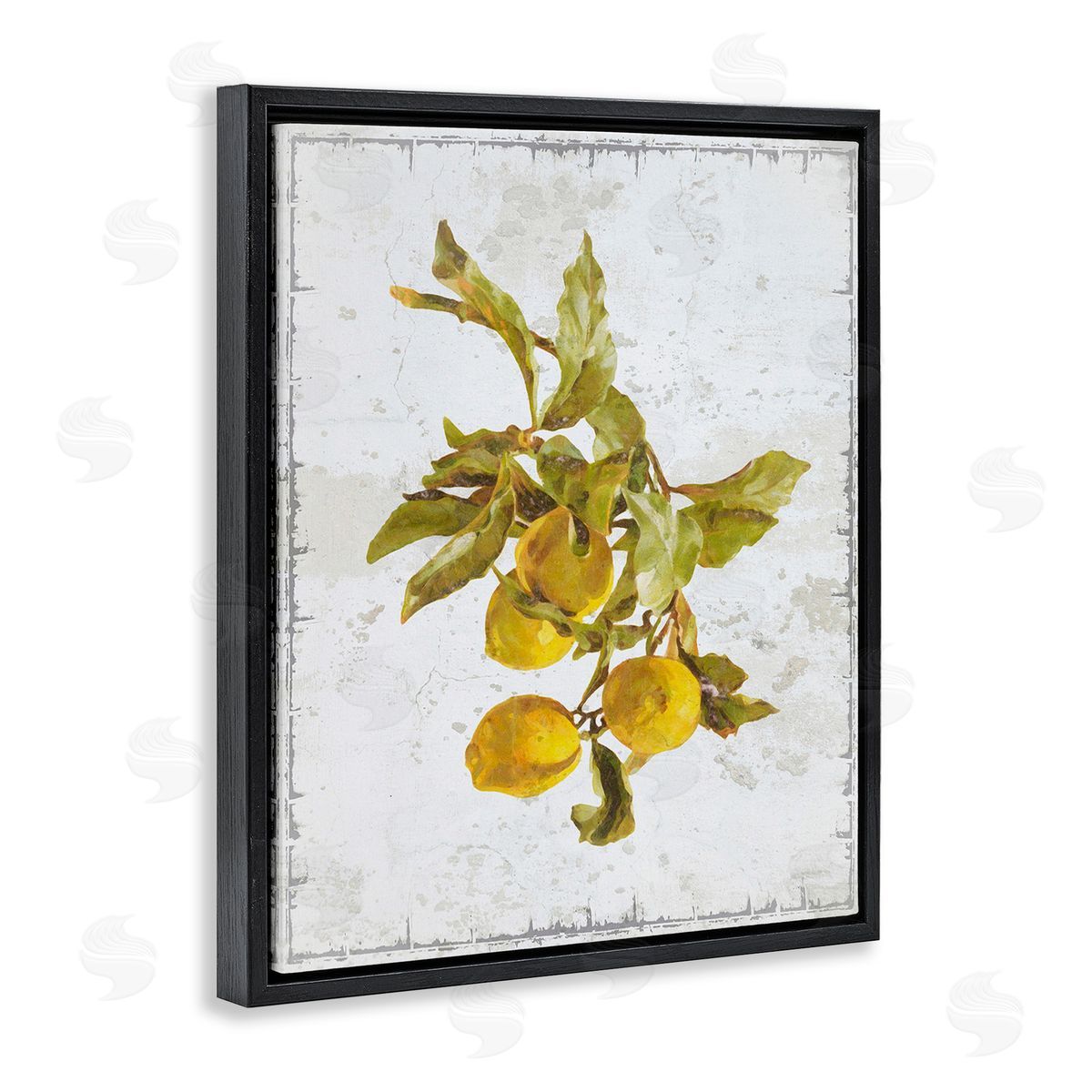 Graffitee Studios Natural Lemon Branch Black Floating Frame Canvas Wall Art Print