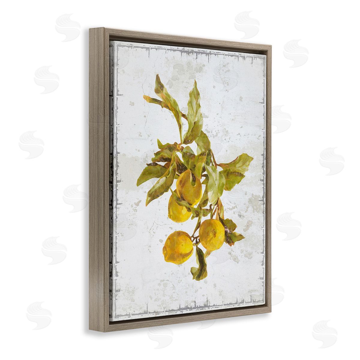 Graffitee Studios Natural Lemon Branch Brown Floating Frame Canvas Wall Art Print