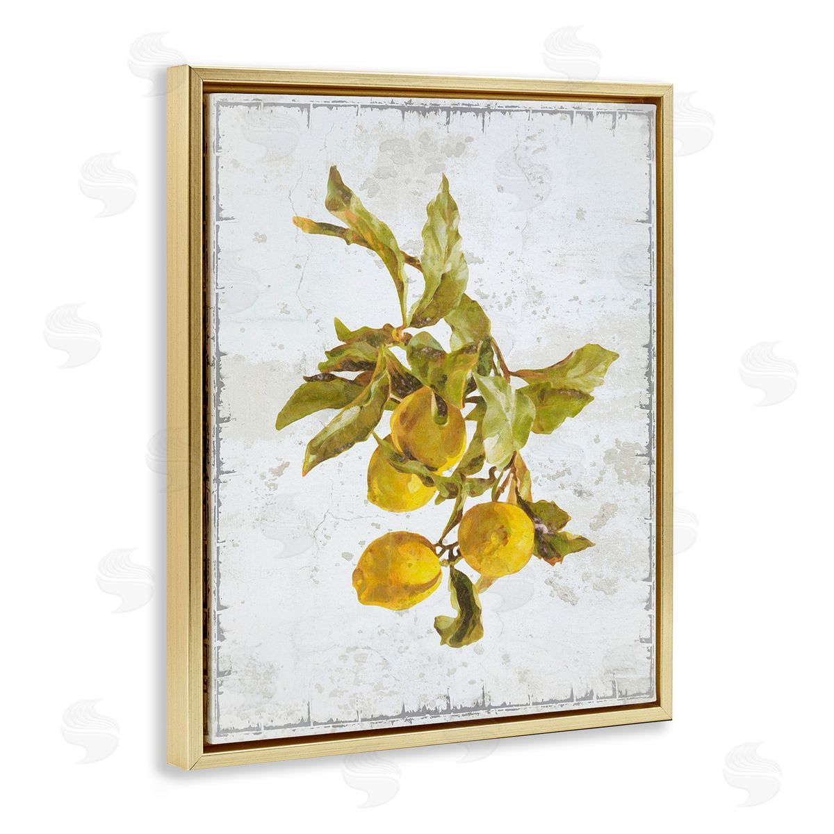 Graffitee Studios Natural Lemon Branch Gold Floating Frame Canvas Wall Art Print