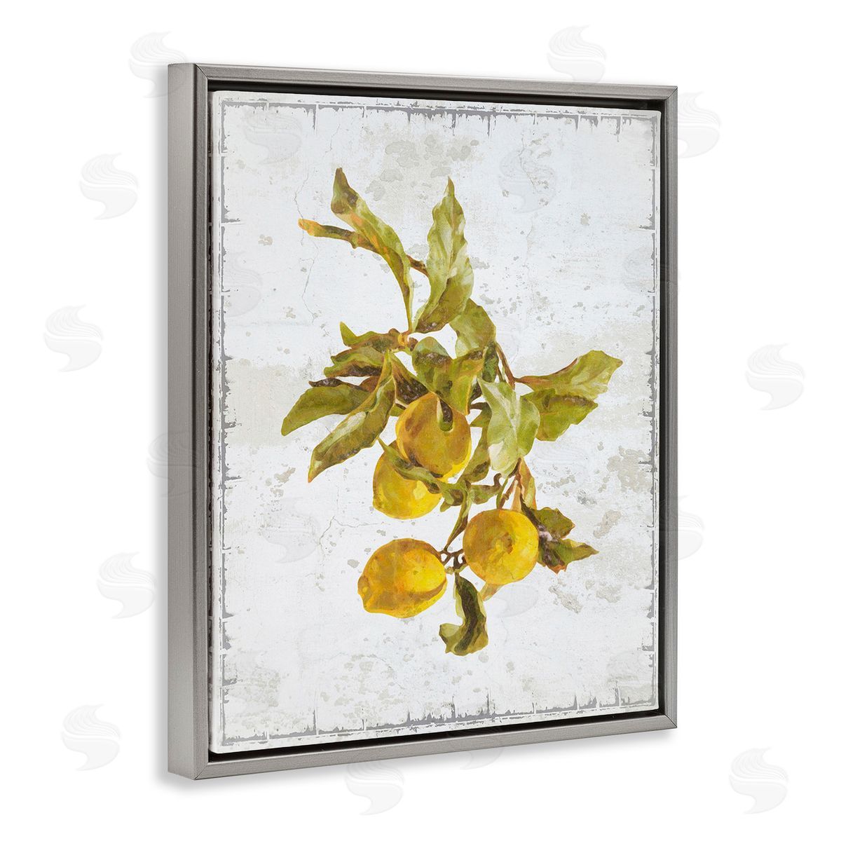 Graffitee Studios Natural Lemon Branch Gray Floating Frame Canvas Wall Art Print
