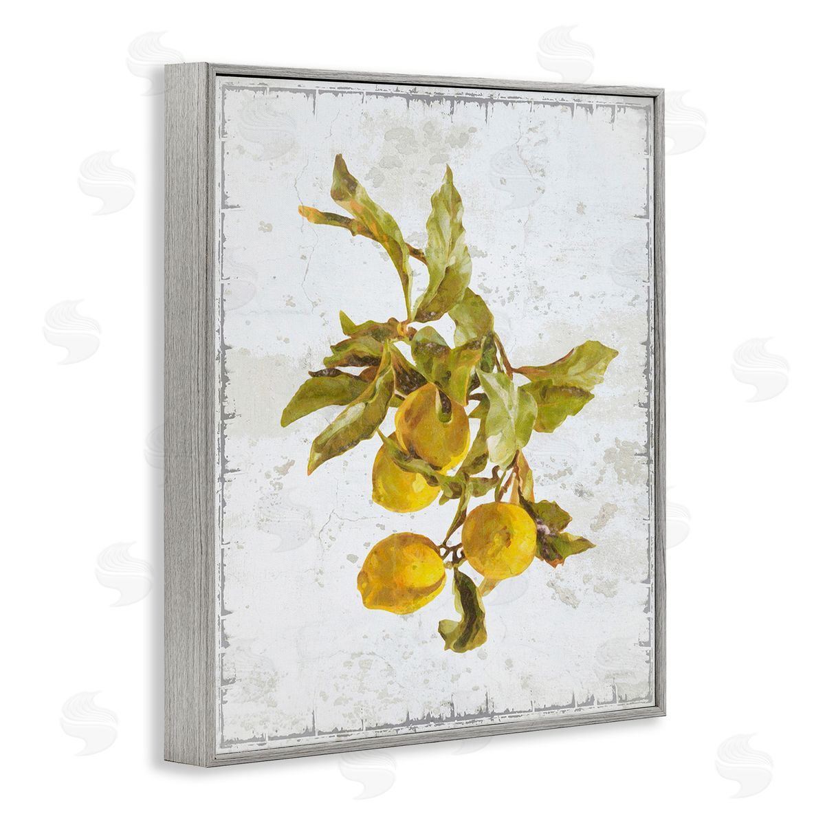 Graffitee Studios Natural Lemon Branch Gray Framed Giclee Wall Art Print