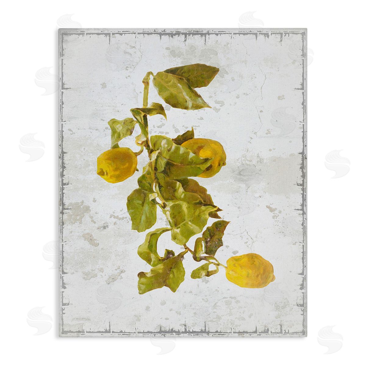 Graffitee Studios Natural Lemon Fruits Canvas Wall Art Print