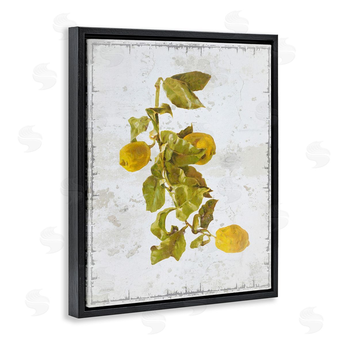 Graffitee Studios Natural Lemon Fruits Black Floating Frame Canvas Wall Art Print