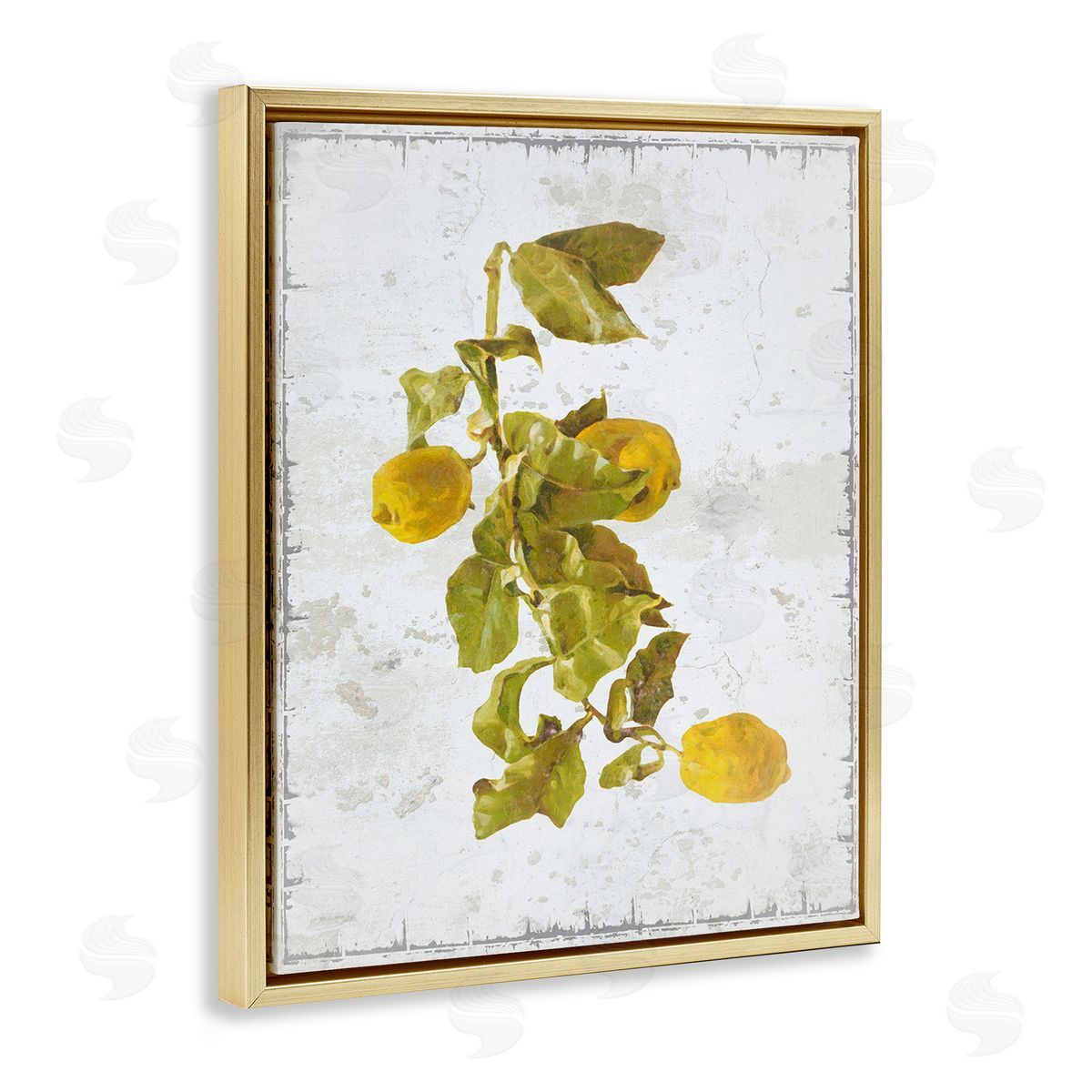 Graffitee Studios Natural Lemon Fruits Gold Floating Frame Canvas Wall Art Print