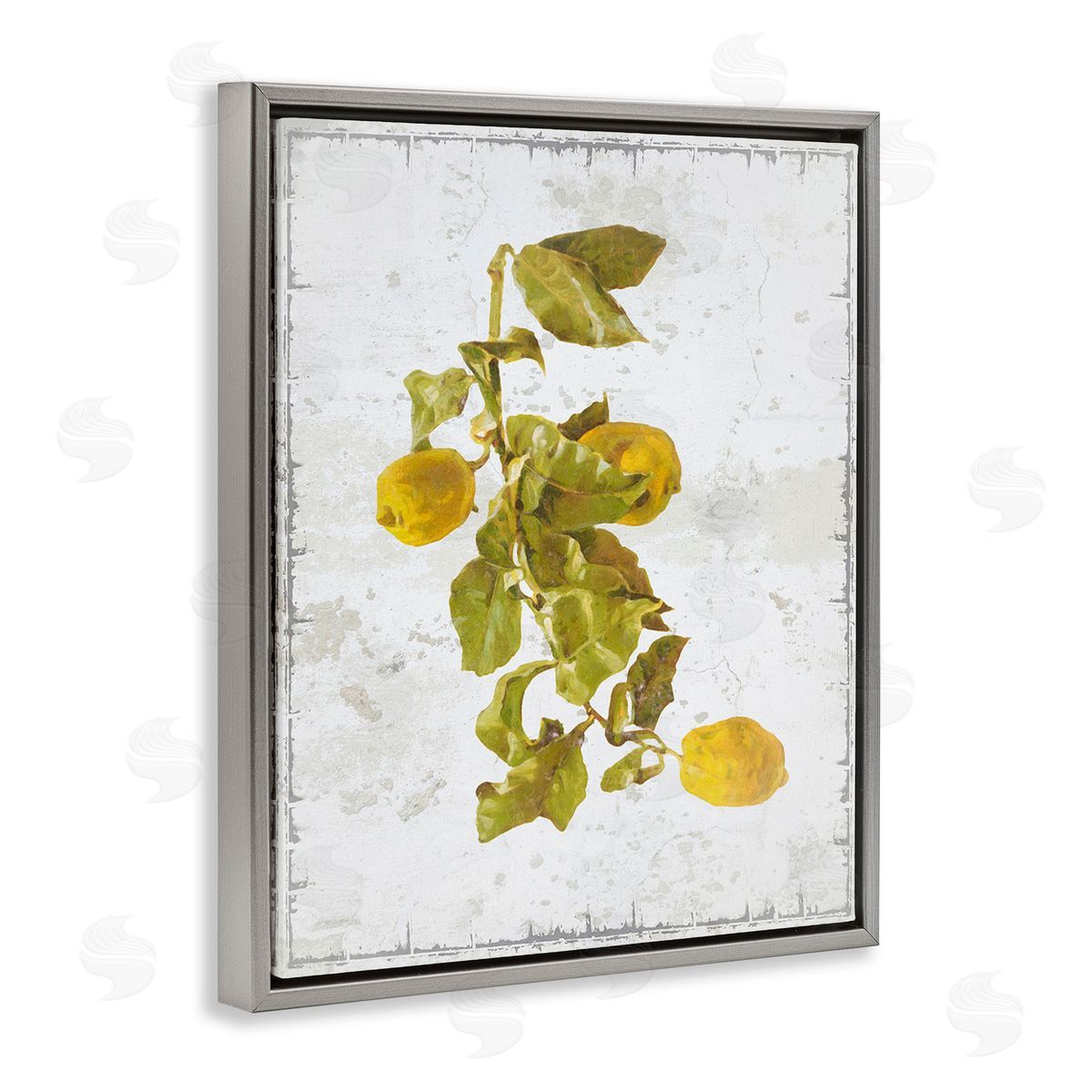 Graffitee Studios Natural Lemon Fruits Gray Floating Frame Canvas Wall Art Print