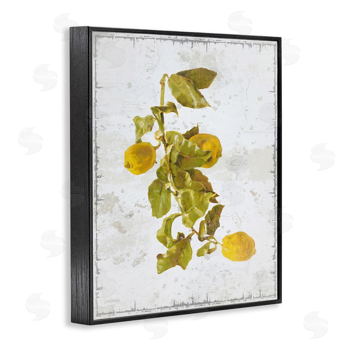 Graffitee Studios Natural Lemon Fruits Black Framed Giclee Wall Art Print