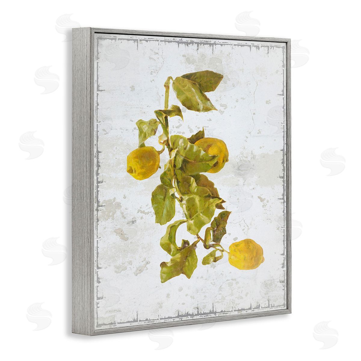 Graffitee Studios Natural Lemon Fruits Gray Framed Giclee Wall Art Print
