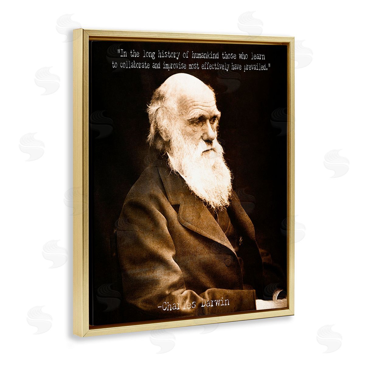 Graffitee Studios Inspiring Darwin Quote Gold Floating Frame Canvas Wall Art Print